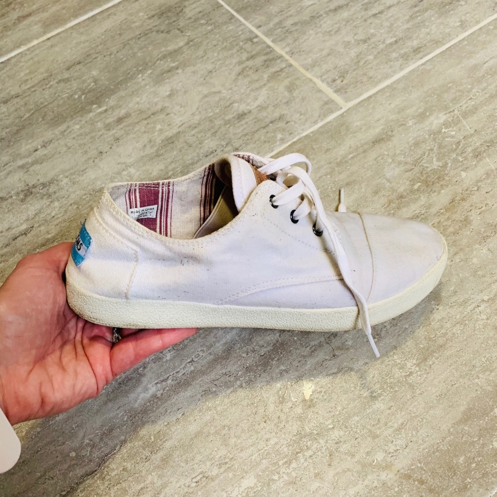 Toms Sneakers 💛